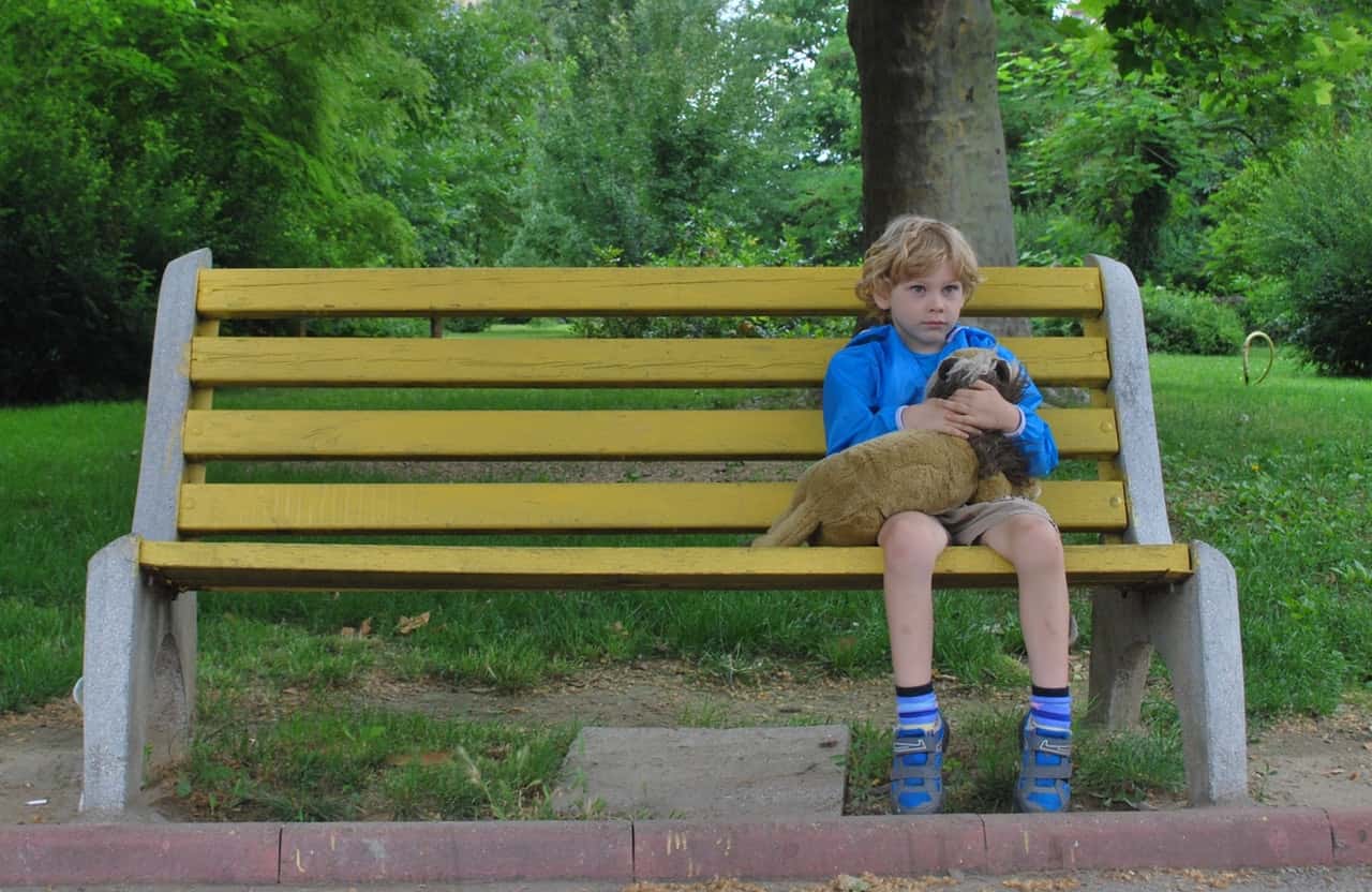 bench-boy-child-262301