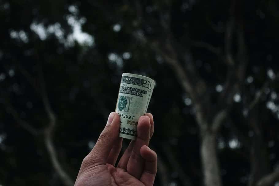 dark-tree-hand-bill