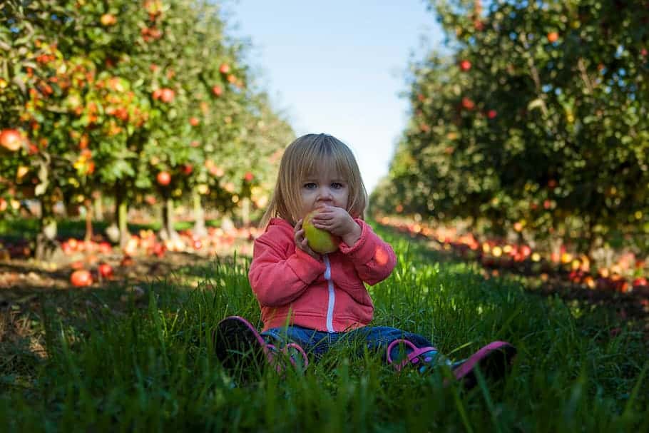 girl-child-toddler-orchard