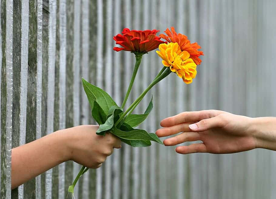 hand-bouquet-fence-gift