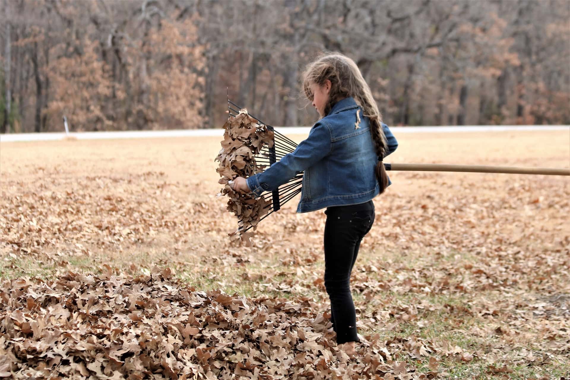 little-girl-raking-leaves-in-fall