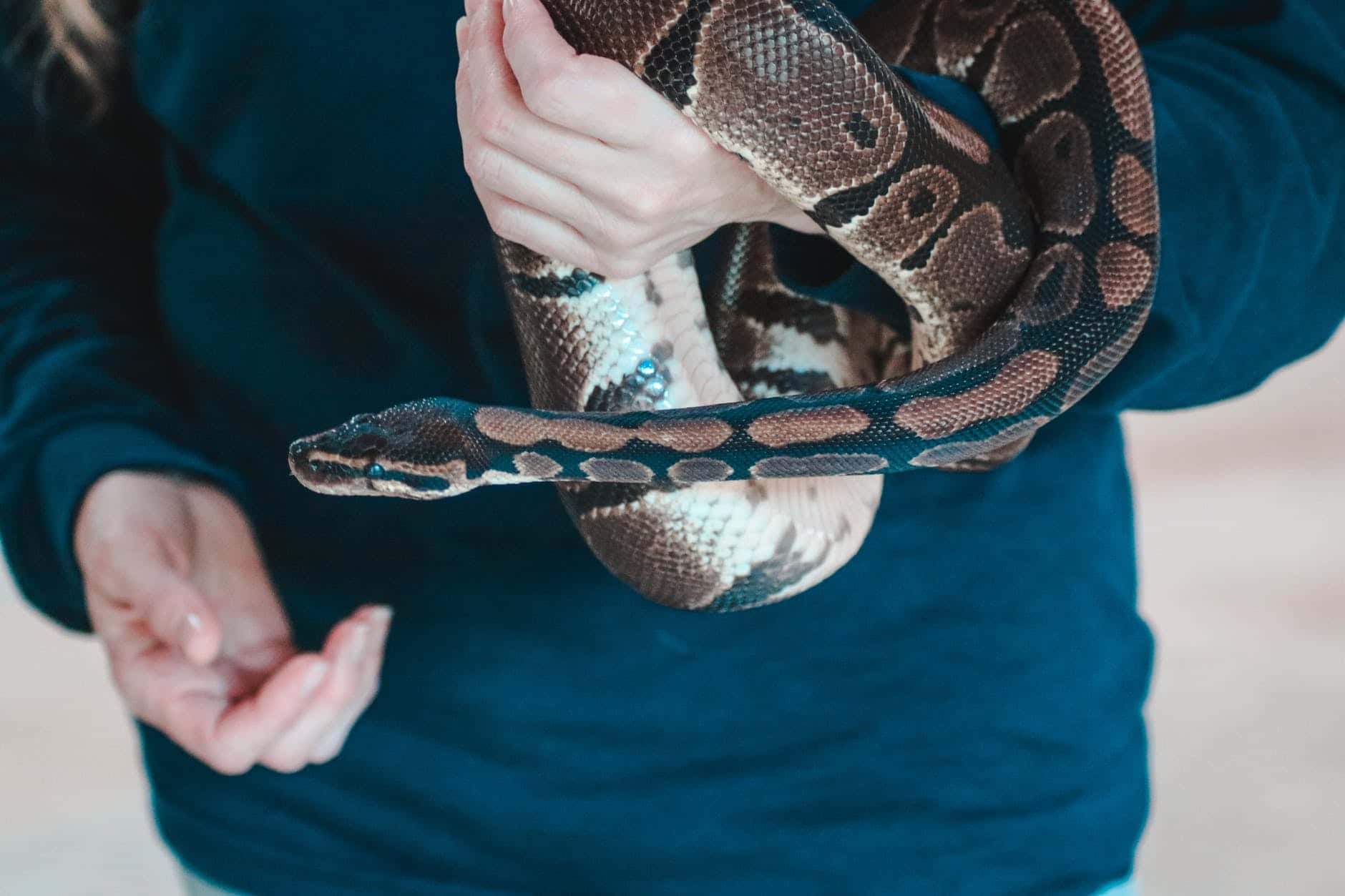 pexels-photo-3058763