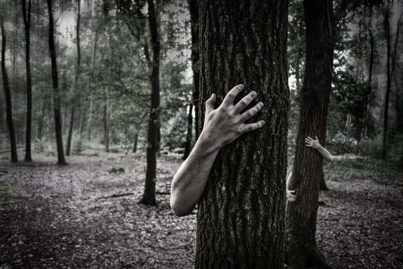 photo-1444146085469-2a4ef5a7e5fb