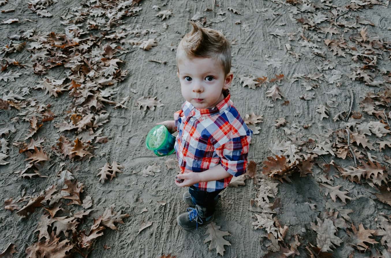 photo-1531322731350-8ab2d04cdbd3