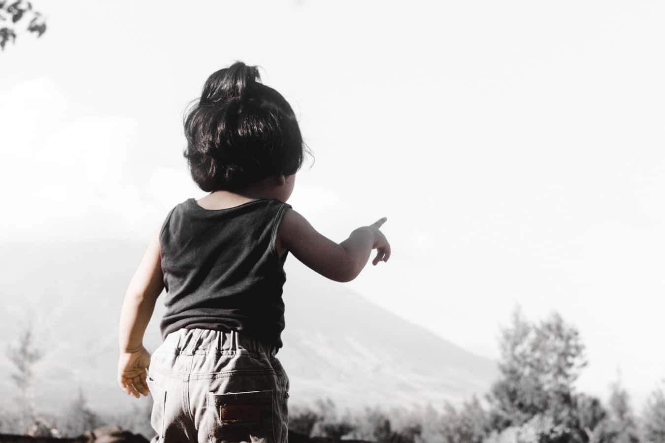 photo-1555774501-d1ee9e8bfc5e