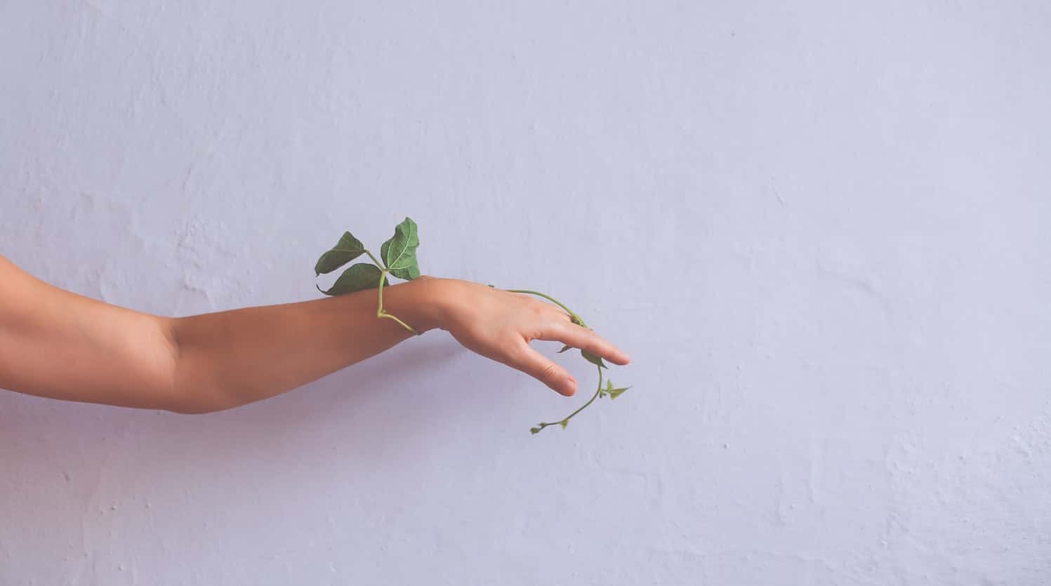 photo-1563073533-d5ddb056dc0a