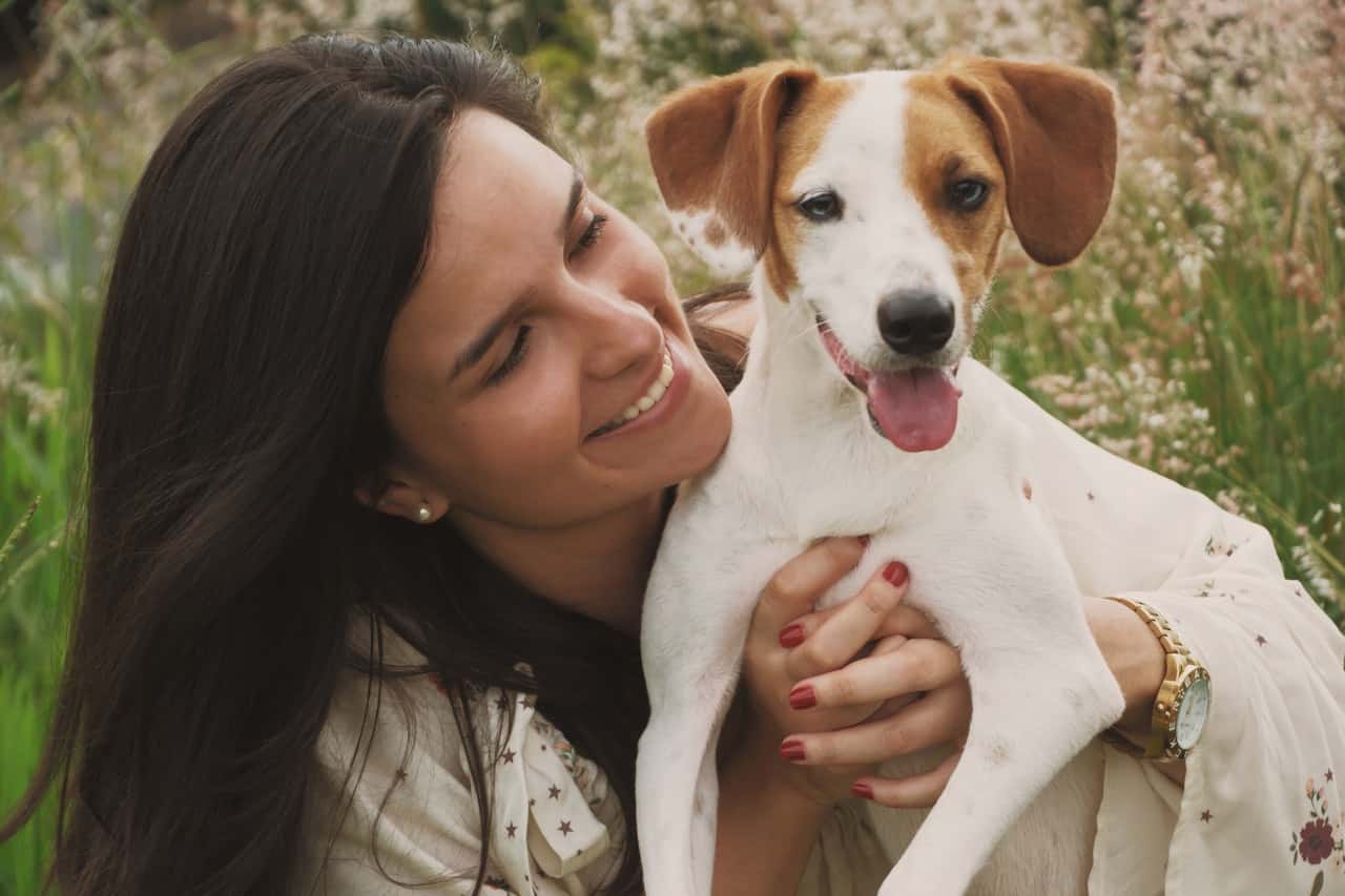 smiling-woman-holds-white-short-coat-small-dog-2008317