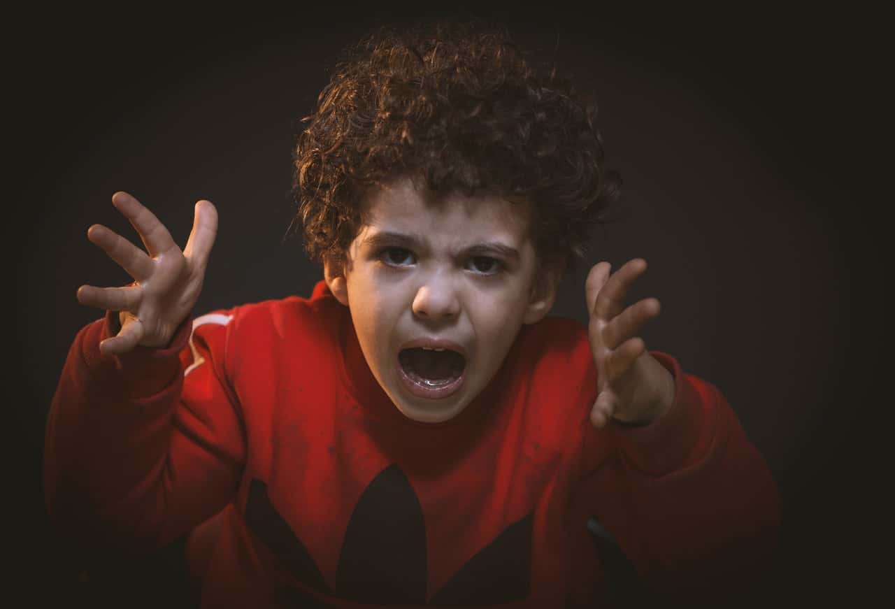 toddler-with-red-adidas-sweat-shirt-783941