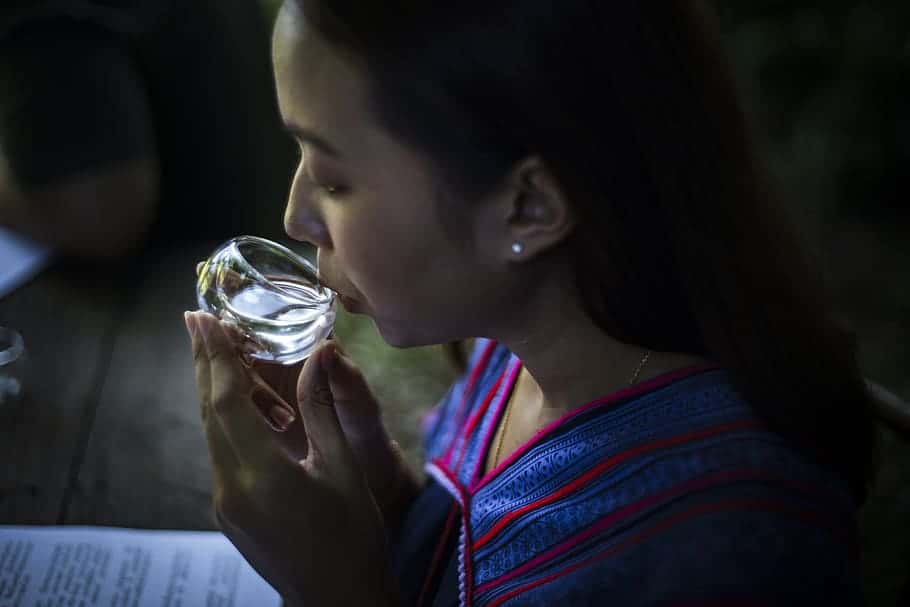 woman-girl-water-tea-people-young