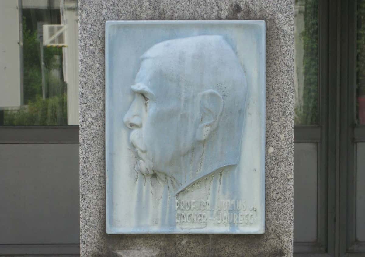 1090_Währinger_Gürtel_11-13_-_AKH_-_Julius_Wagner-Jauregg-Denkmal_IMG_3852