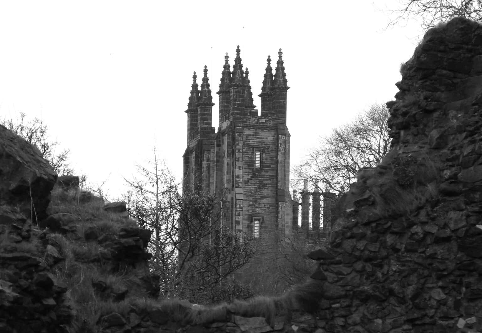 6881654692_423f7b9247_k(1)