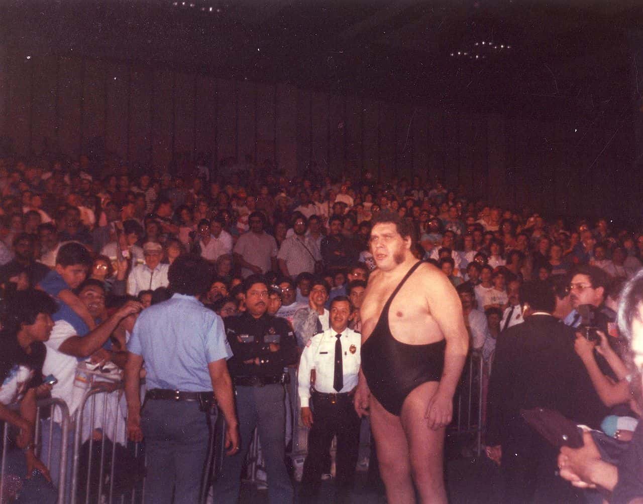 Andre_the_Giant_(86288815)