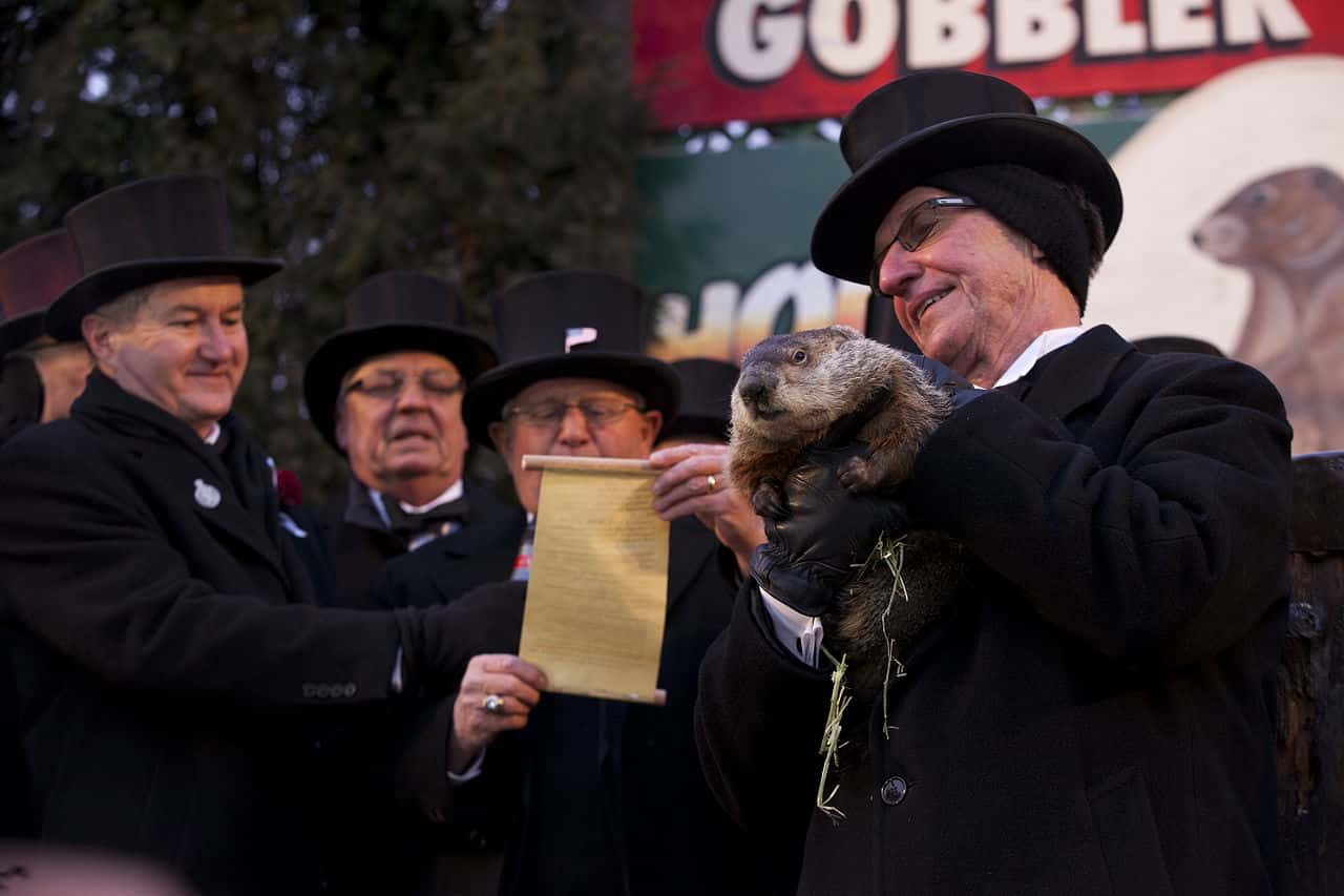 Groundhog_Day,_Punxsutawney,_2013-1