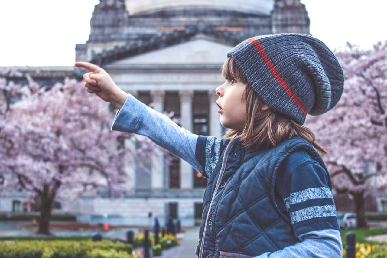 bloom-blossom-building-child-415242