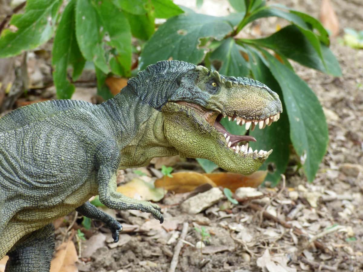 game-wildlife-reptile-toy-iguana-fauna-709769-pxhere.com