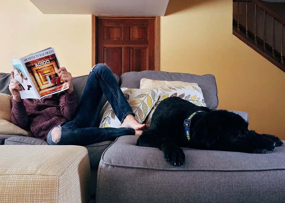 person-home-relax-dog