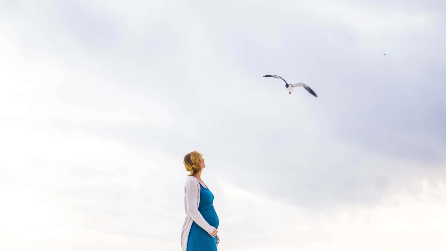 photo-1556032036-b5f11c6bf2bd