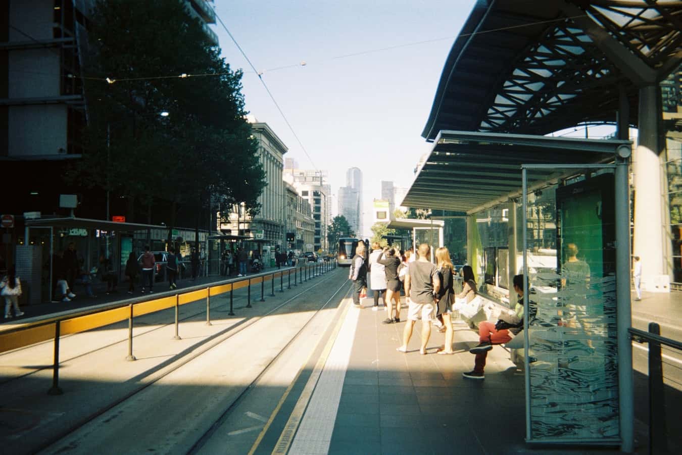 photo-1569288746471-c63ff953d0a4
