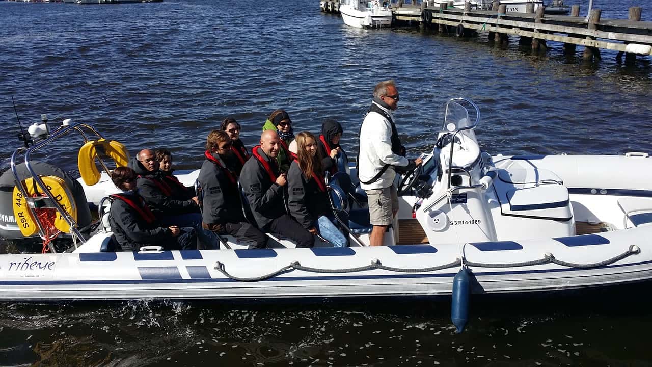seal-safari-692645_1280
