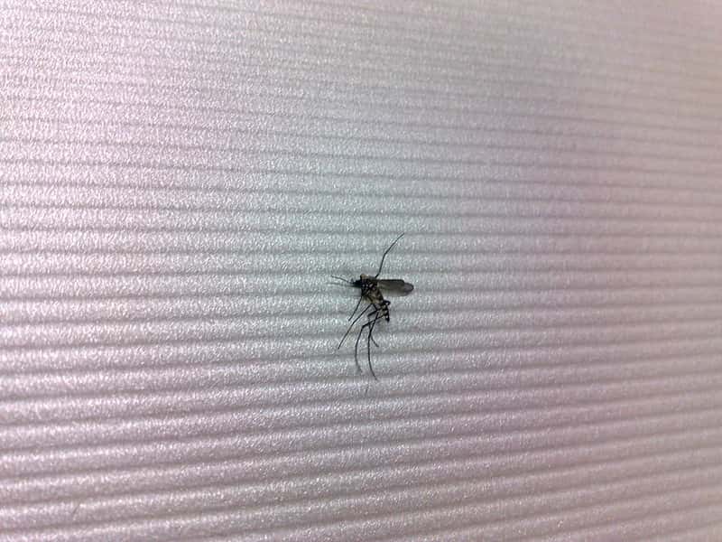 3669964104_92ea95d6cf_c