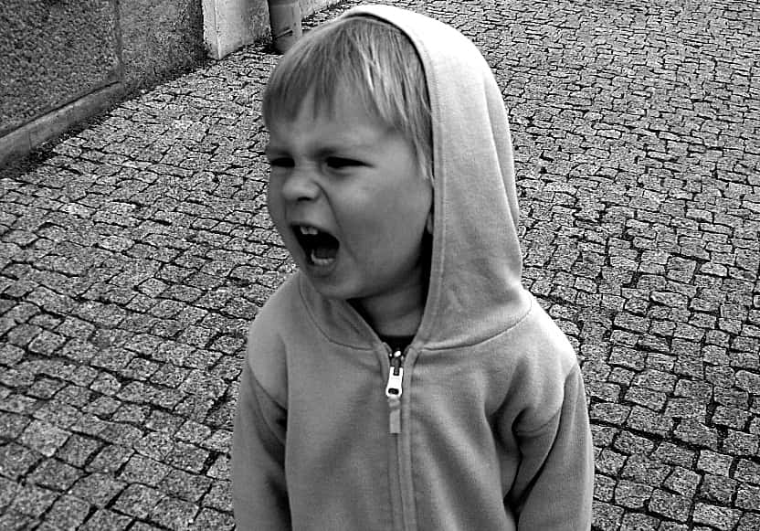 VLUU L100, M100  / Samsung L100, M100