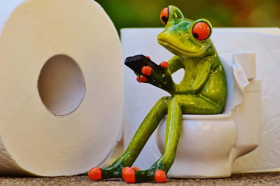 frog-toilet-loo-session-funny-wallpaper-preview