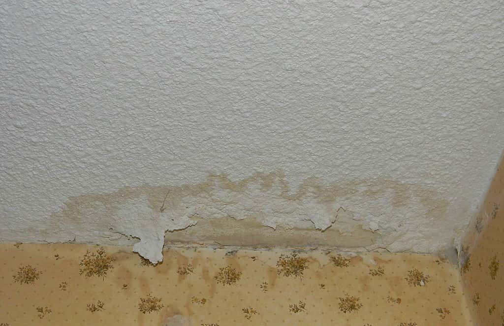 1024px-Drywall_splotch