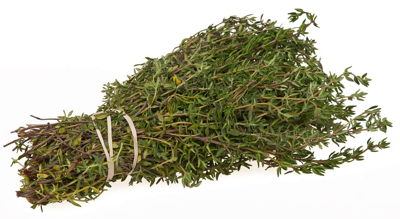 1280px-Thyme-Bundle