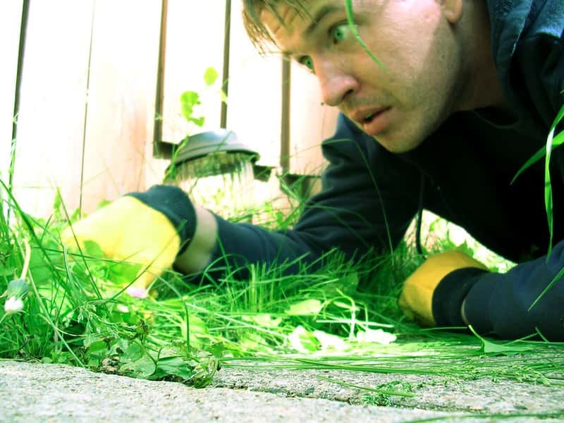 2562762682_41495ee502_c