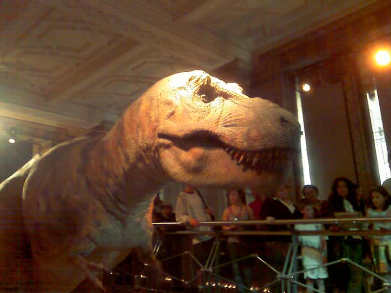 2788060928_cc89dfef8a_c