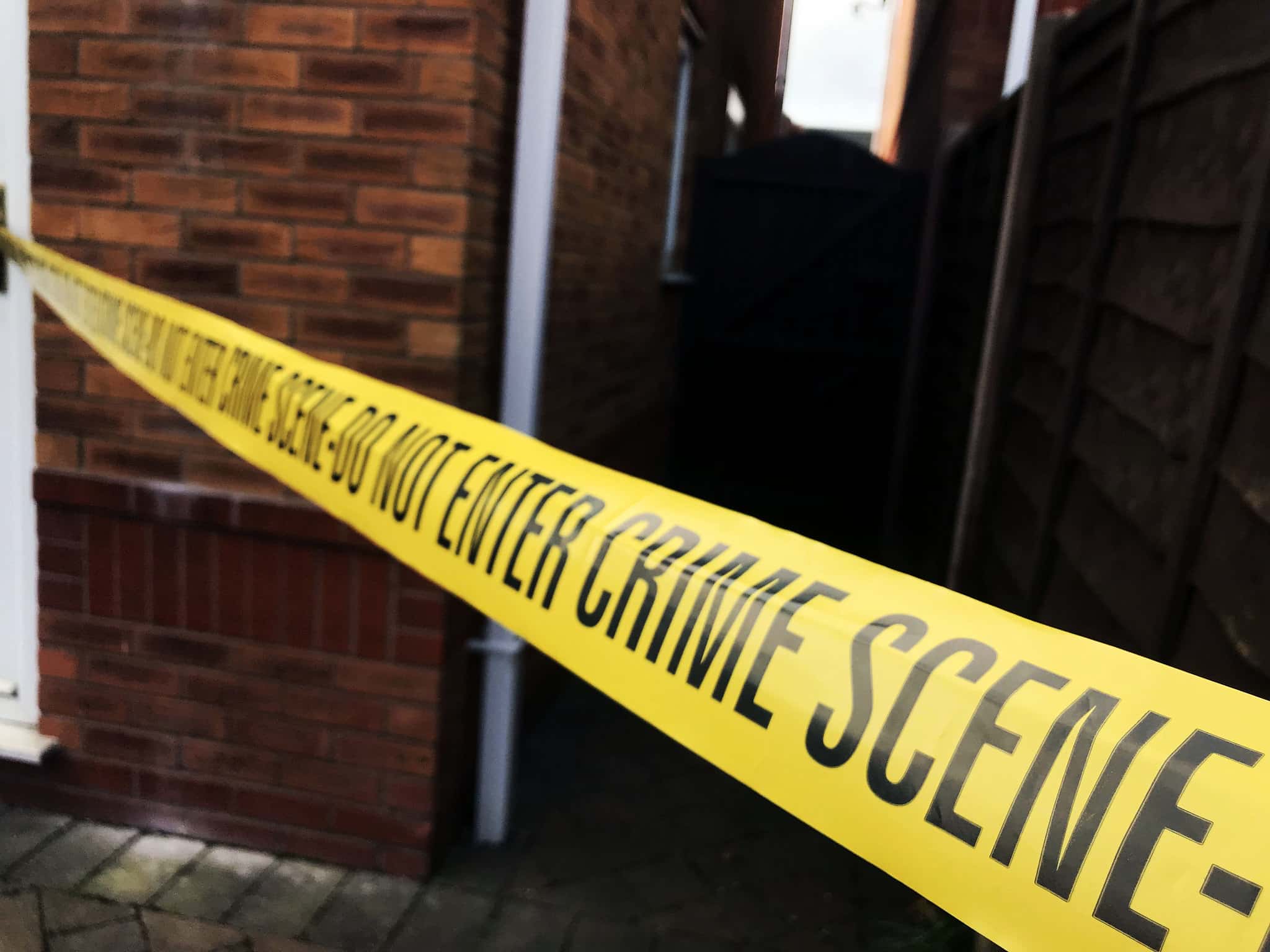 32443464427_f5051b67a1_k