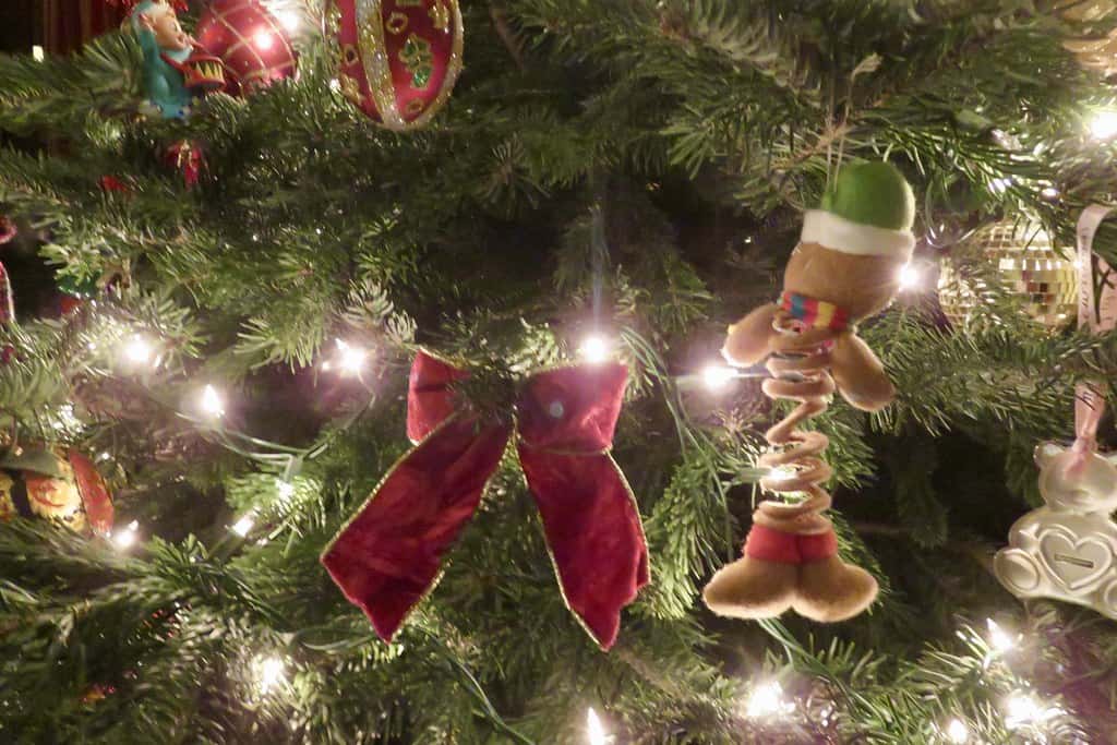 35168391653_438c9ce940_b