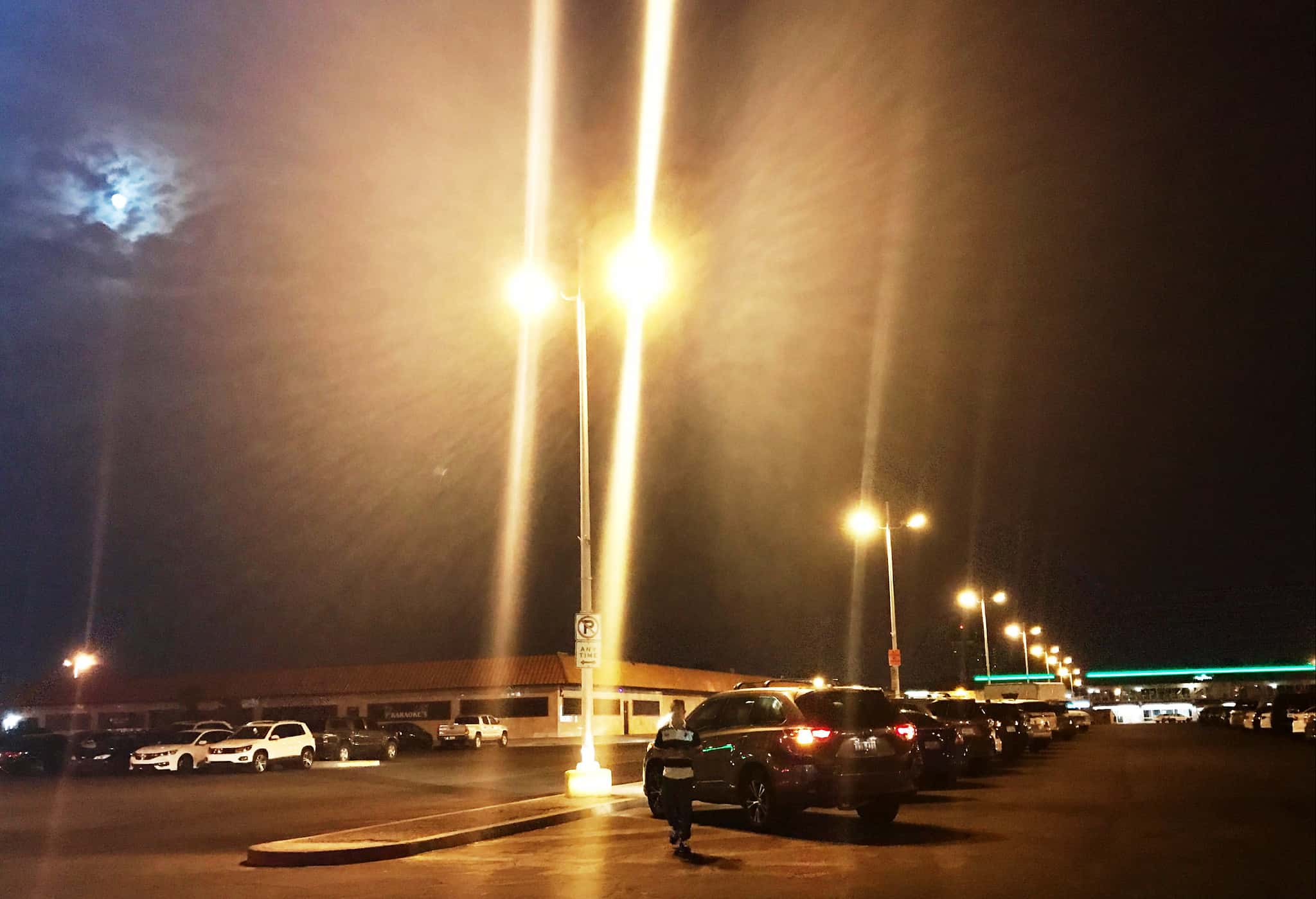 36843954702_3b33446956_k