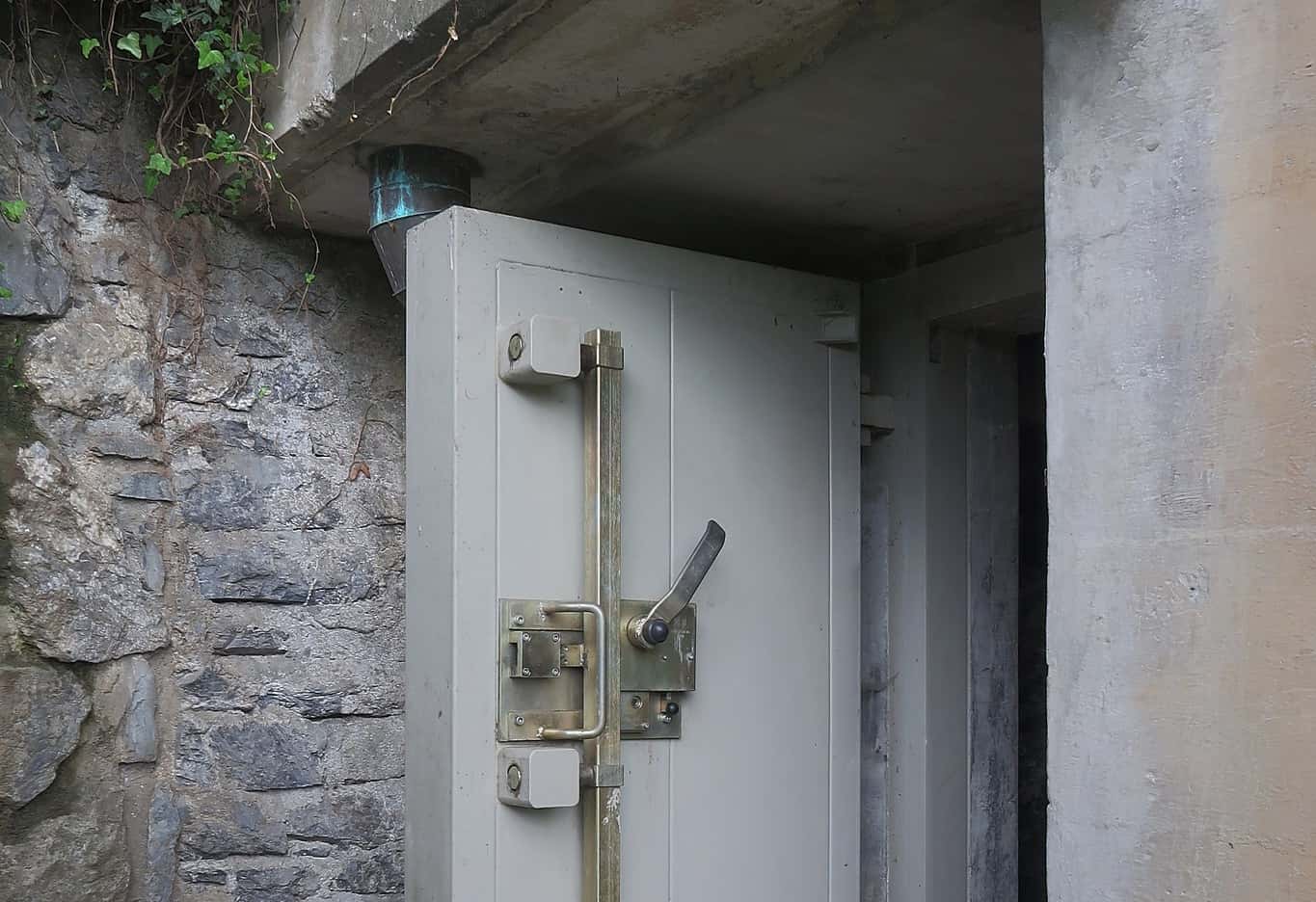 48748056058_3b74b802f6_k