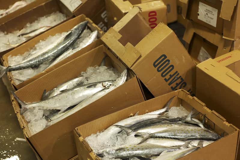 5232309948_fee4edd394_c