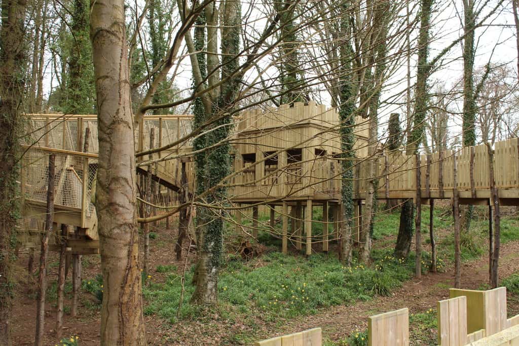 5321107_0b075bd8_1024x1024