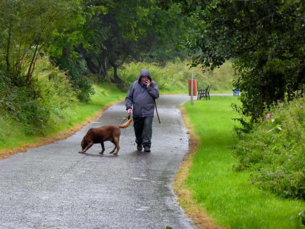 5883984_7661e7df_original