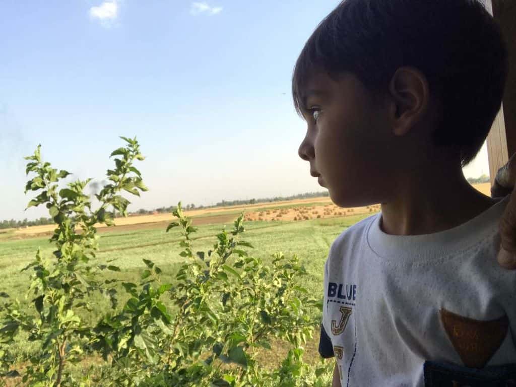 Kid_looking_at_field