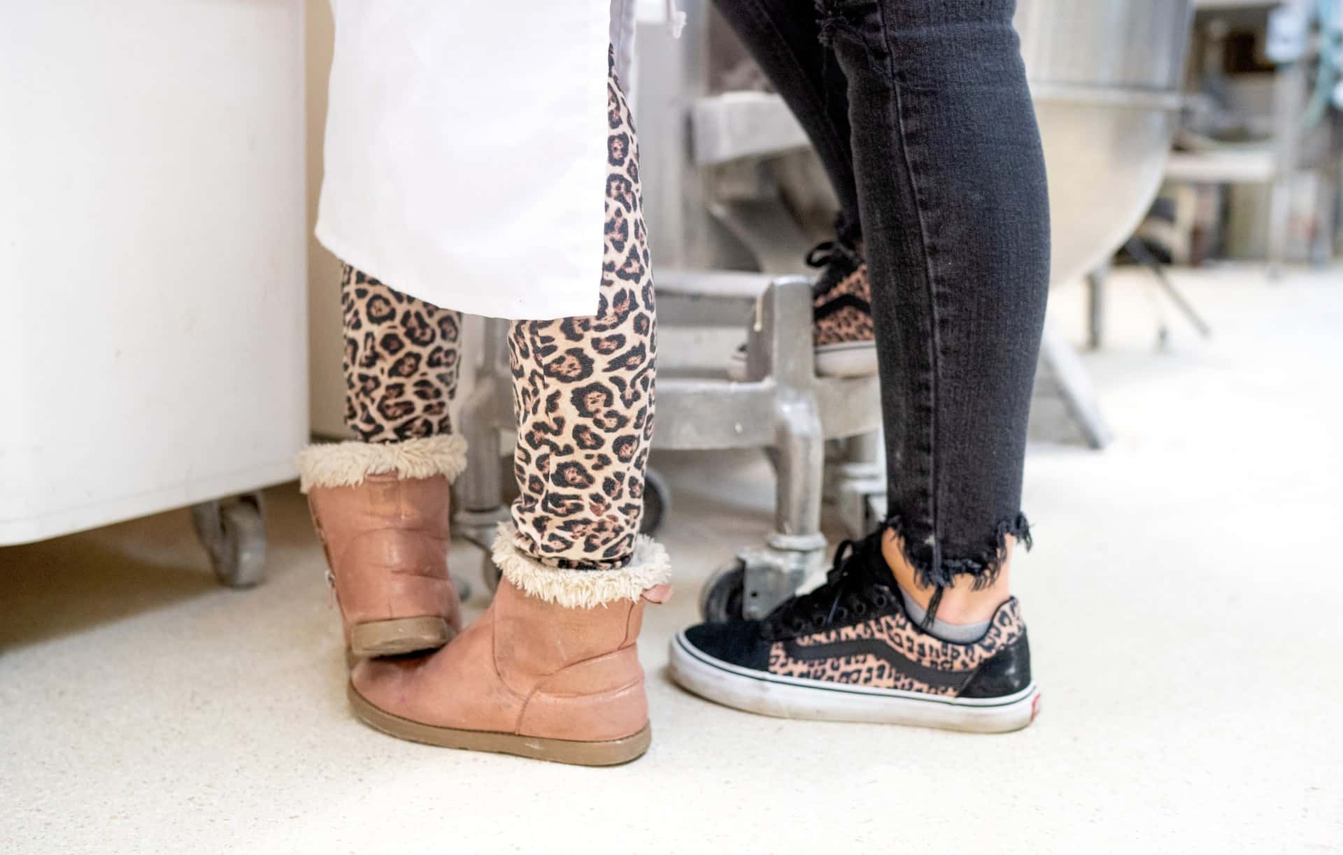 allie-smith-DrcaHpBe2zs-unsplash