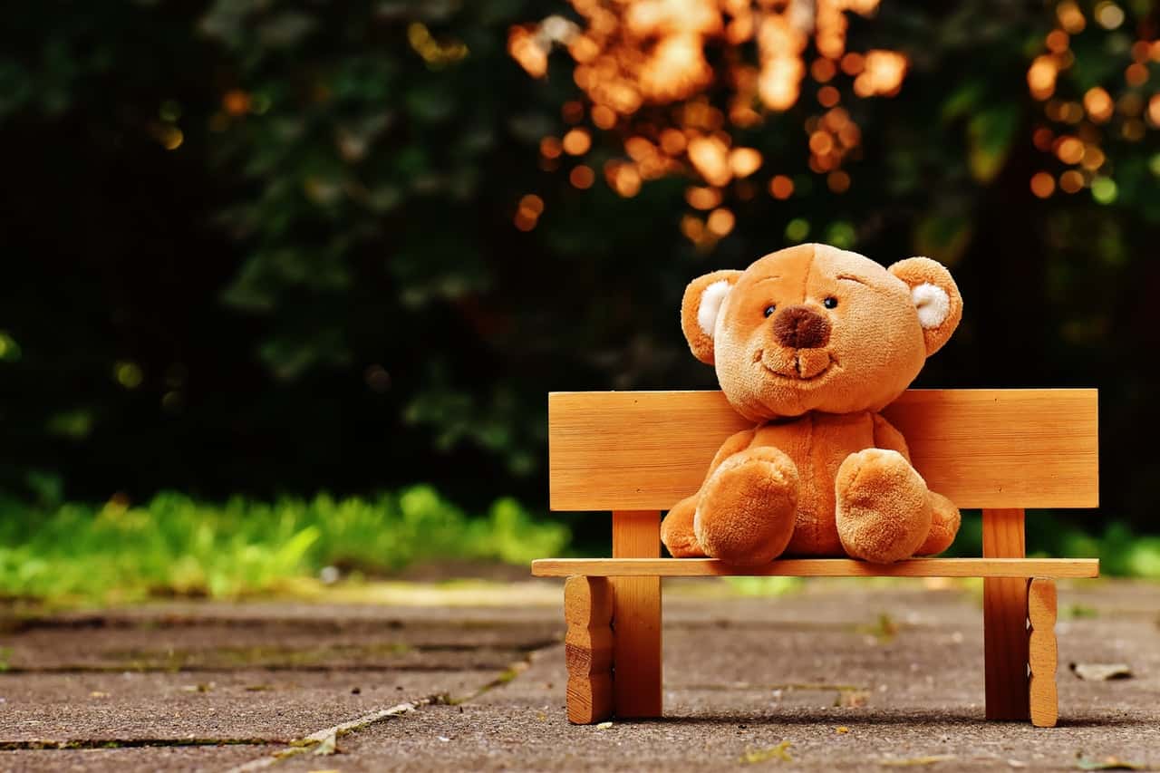 brown-teddy-bear-on-brown-wooden-bench-outside-207891