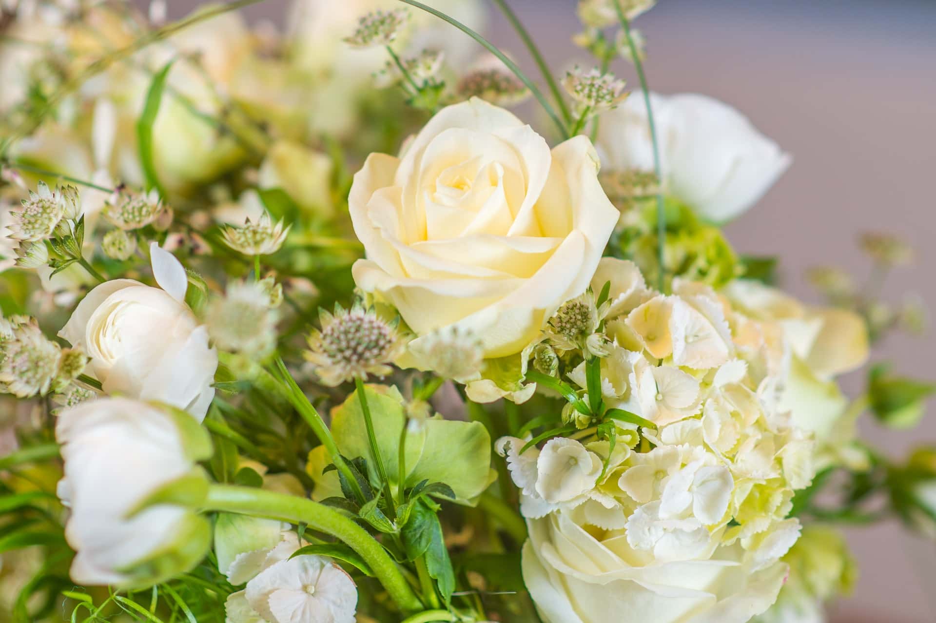 paul-postema-ewZCwMSo3OA-unsplash