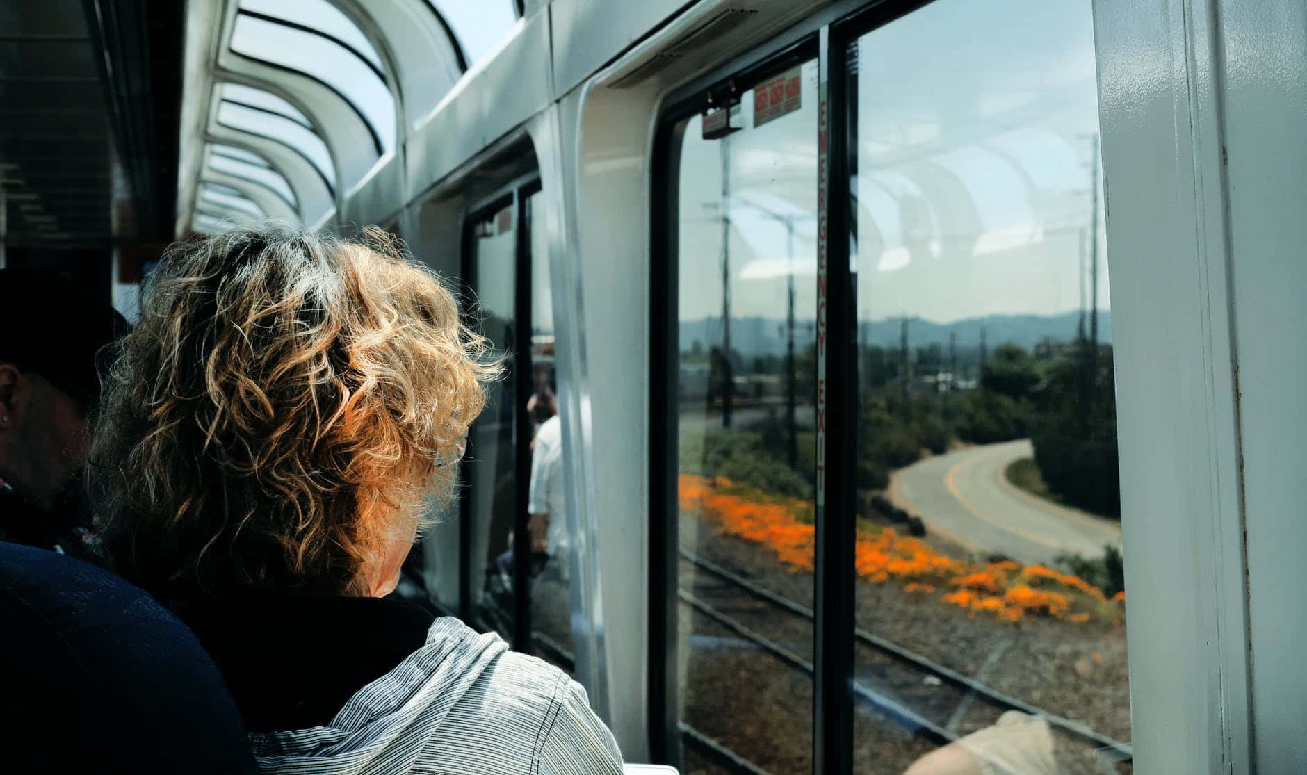 pexels-photo-2824681