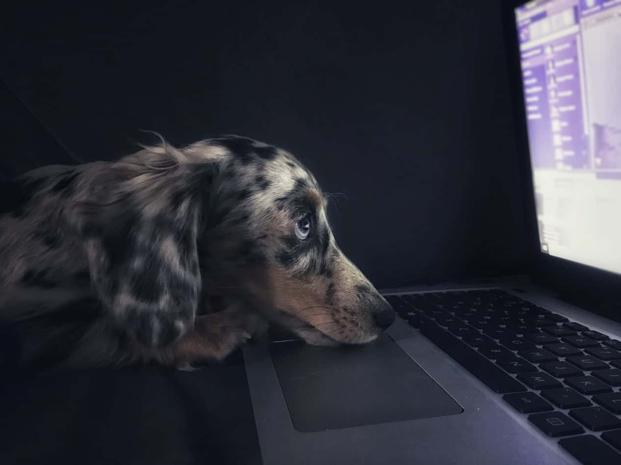 photo-1549488799-496ecb87b5b3