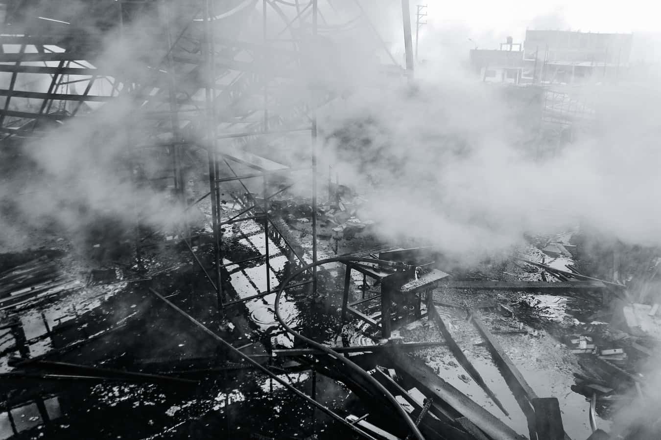 photo-1565021291999-8e7865778c61