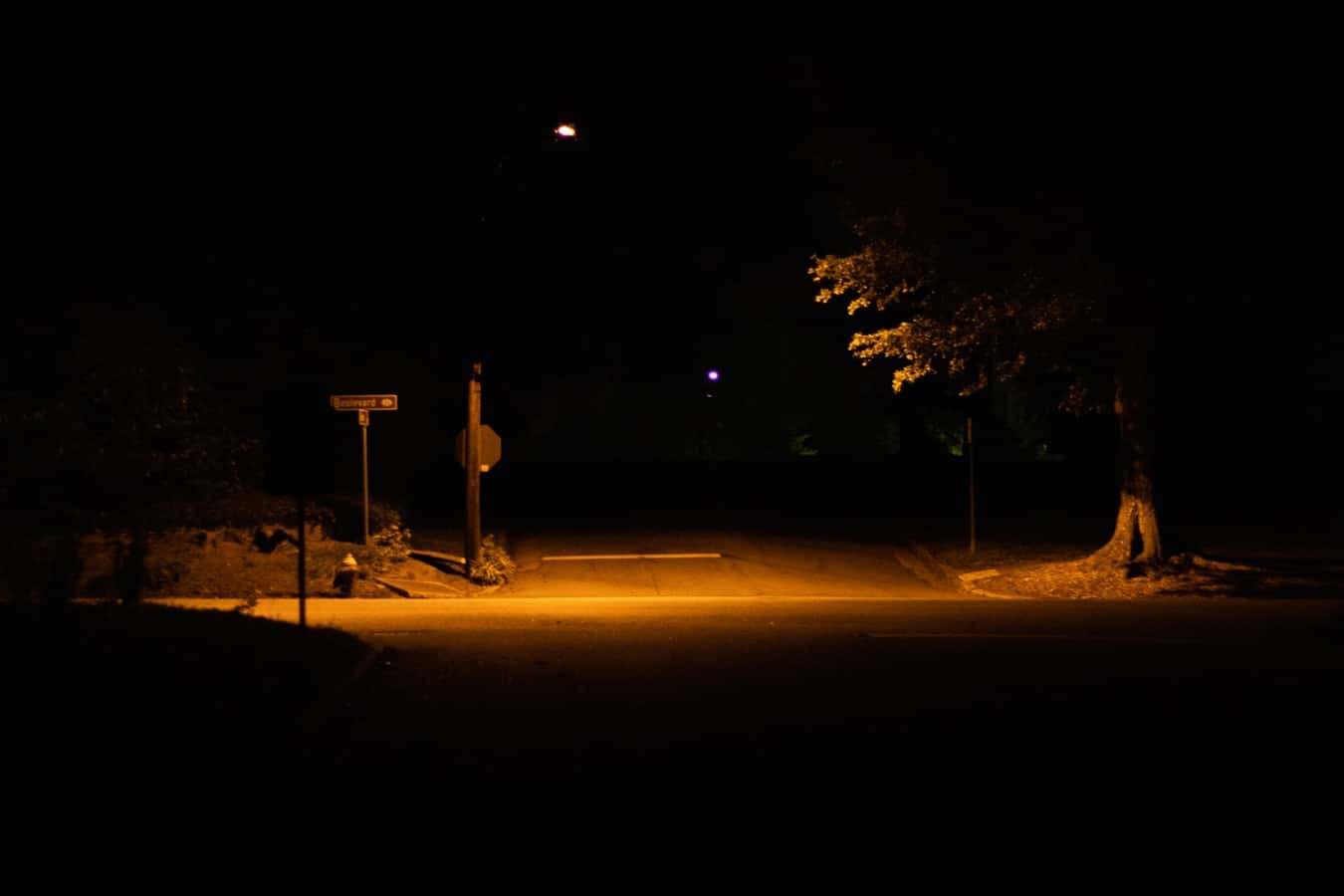 photo-1569001521892-17e8dbc0145f