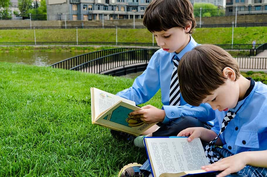 read-books-lawn-park-learn-study