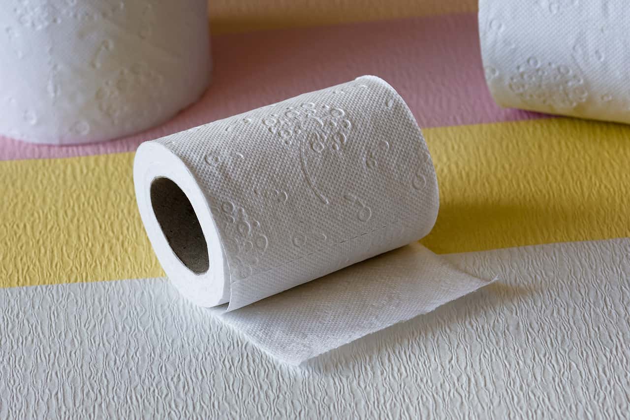 toilet-paper-4498913_1280