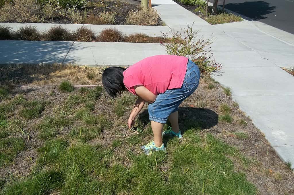 1024px-A_woman_doing_yard_work