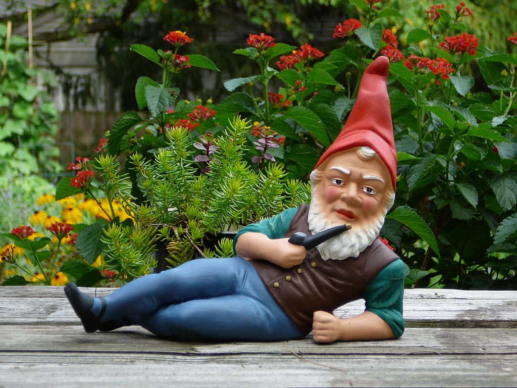 1024px-German_garden_gnome