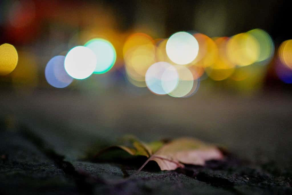 18033858412_76a849bc61_b
